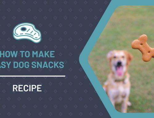 How To Make Dog Biscuits