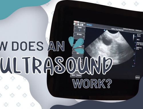 How does an ultrasound works?