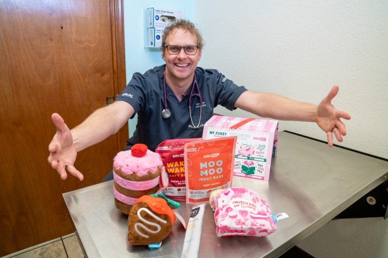 Veterinarian in El Paso TX Animal Hospital Eastwood Animal Clinic