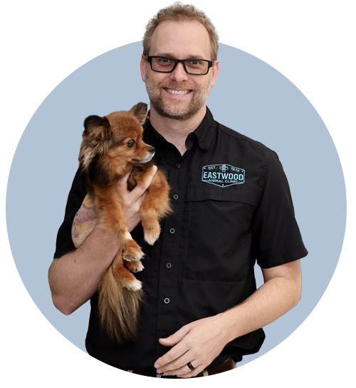 ask-dr-sammy-2026 Dr. Sammy